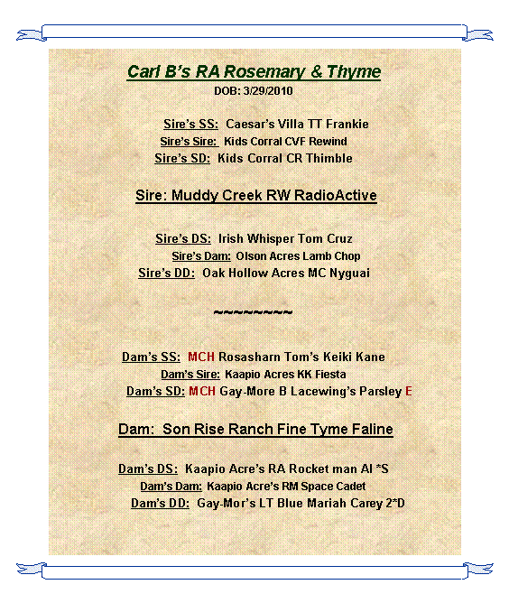 Text Box: Carl Bs RA Rosemary & ThymeDOB: 3/29/2010       Sires SS:  Caesars Villa TT FrankieSires Sire:   Kids Corral CVF RewindSires SD:  Kids Corral CR Thimble Sire: Muddy Creek RW RadioActiveSires DS:  Irish Whisper Tom Cruz         Sires Dam:  Olson Acres Lamb ChopSires DD:  Oak Hollow Acres MC Nyguai~~~~~~~~Dams SS:  MCH Rosasharn Toms Keiki KaneDams Sire:  Kaapio Acres KK Fiesta         Dams SD: MCH Gay-More B Lacewings Parsley E Dam:  Son Rise Ranch Fine Tyme FalineDams DS:  Kaapio Acres RA Rocket man AI *SDams Dam:  Kaapio Acres RM Space Cadet        Dams DD:  Gay-Mors LT Blue Mariah Carey 2*D