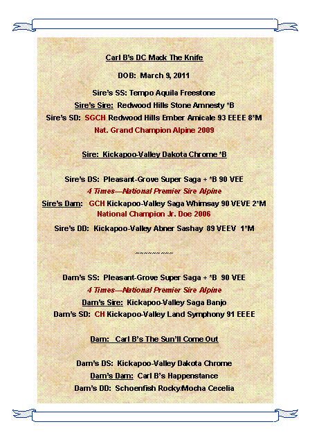 Text Box: Carl Bs DC Mack The KnifeDOB:  March 9, 2011Sires SS: Tempo Aquila FreestoneSires Sire:  Redwood Hills Stone Amnesty *BSires SD:  SGCH Redwood Hills Ember Amicale 93 EEEE 8*MNat. Grand Champion Alpine 2009Sire:  Kickapoo-Valley Dakota Chrome *BSires DS:  Pleasant-Grove Super Saga + *B 90 VEE4 TimesNational Premier Sire AlpineSires Dam:   GCH Kickapoo-Valley Saga Whimsay 90 VEVE 2*MNational Champion Jr. Doe 2006Sires DD:  Kickapoo-Valley Abner Sashay  89 VEEV  1*M~~~~~~~~~Dams SS:  Pleasant-Grove Super Saga + *B  90 VEE4 TimesNational Premier Sire AlpineDams Sire:  Kickapoo-Valley Saga BanjoDams SD:  CH Kickapoo-Valley Land Symphony 91 EEEEDam:   Carl Bs The Sunll Come Out Dams DS:  Kickapoo-Valley Dakota ChromeDams Dam:  Carl Bs HappenstanceDams DD:  Schoenfish Rocky/Mocha Cecelia