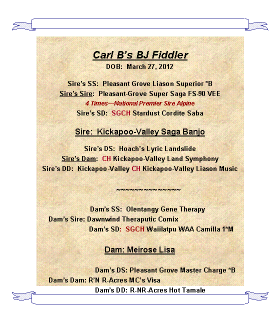 Text Box: Carl Bs BJ FiddlerDOB:  March 27, 2012Sires SS:  Pleasant Grove Liason Superior *BSires Sire:  Pleasant-Grove Super Saga FS-90 VEE4 TimesNational Premier Sire AlpineSires SD:  SGCH Stardust Cordite SabaSire:  Kickapoo-Valley Saga BanjoSires DS:  Hoachs Lyric LandslideSires Dam:  CH Kickapoo-Valley Land Symphony Sires DD:  Kickapoo-Valley CH Kickapoo-Valley Liason Music          ~~~~~~~~~~~~~~        Dams SS:  Olentangy Gene Therapy            Dams Sire: Dawnwind Theraputic Comix                                    Dams SD:  SGCH Waiilatpu WAA Camilla 1*MDam: Meirose Lisa                           Dams DS: Pleasant Grove Master Charge *B            Dams Dam: RN R-Acres MCs Visa           Dams DD: R-NR-Acres Hot Tamale