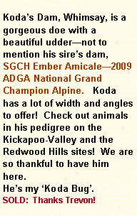 Text Box: Kodas Dam, Whimsay, is a gorgeous doe with a beautiful uddernot to mention his sires dam, SGCH Ember Amicale2009 ADGA National Grand Champion Alpine.   Koda has a lot of width and angles to offer!  Check out animals in his pedigree on the Kickapoo-Valley and the Redwood Hills sites!  We are so thankful to have him here.  Hes my Koda Bug.SOLD:  Thanks Trevon!