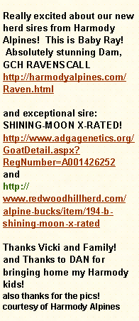 Text Box: Really excited about our new herd sires from Harmody Alpines!  This is Baby Ray!   Absolutely stunning Dam, GCH RAVENSCALL http://harmodyalpines.com/Raven.htmland exceptional sire: SHINING-MOON X-RATED! http://www.adgagenetics.org/GoatDetail.aspx?RegNumber=A001426252andhttp://www.redwoodhillherd.com/alpine-bucks/item/194-b-shining-moon-x-ratedThanks Vicki and Family!  and Thanks to DAN for bringing home my Harmody kids!also thanks for the pics!  courtesy of Harmody Alpines