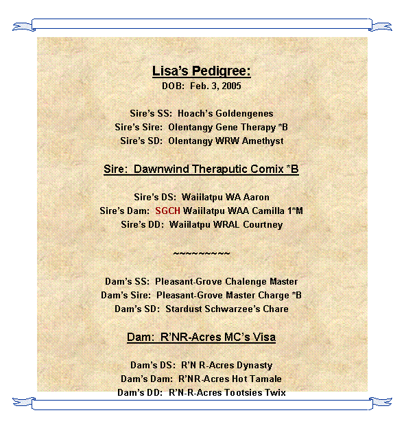 Text Box: Lisas Pedigree:DOB:  Feb. 3, 2005Sires SS:  Hoachs GoldengenesSires Sire:  Olentangy Gene Therapy *BSires SD:  Olentangy WRW AmethystSire:  Dawnwind Theraputic Comix *BSires DS:  Waiilatpu WA AaronSires Dam:  SGCH Waiilatpu WAA Camilla 1*MSires DD:  Waiilatpu WRAL Courtney~~~~~~~~~Dams SS:  Pleasant-Grove Chalenge MasterDams Sire:  Pleasant-Grove Master Charge *BDams SD:  Stardust Schwarzees ChareDam:  RNR-Acres MCs VisaDams DS:  RN R-Acres DynastyDams Dam:  RNR-Acres Hot TamaleDams DD:  RN-R-Acres Tootsies Twix