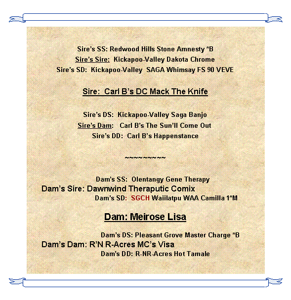 Text Box: Sires SS: Redwood Hills Stone Amnesty *BSires Sire:  Kickapoo-Valley Dakota ChromeSires SD:  Kickapoo-Valley  SAGA Whimsay FS 90 VEVESire:  Carl Bs DC Mack The KnifeSires DS:  Kickapoo-Valley Saga BanjoSires Dam:   Carl Bs The Sunll Come Out Sires DD:  Carl Bs Happenstance ~~~~~~~~~        Dams SS:  Olentangy Gene Therapy            Dams Sire: Dawnwind Theraputic Comix                                    Dams SD:  SGCH Waiilatpu WAA Camilla 1*MDam: Meirose Lisa                           Dams DS: Pleasant Grove Master Charge *B            Dams Dam: RN R-Acres MCs Visa           Dams DD: R-NR-Acres Hot Tamale