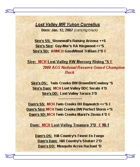 Text Box: Lost Valley MR Yukon Cornelius	Born: Jan. 12, 2007 (carrying black) Sires SS:  Stonewalls Raising Arizona ++SSires Sire:  Gay-Mors RA Kingwood ++*SSires SD:  ARMCH GoodWood Trillium 2*D ESire:  MCH Lost Valley KW Mercury Rising *S E                          2008 AGS National Reserve Grand Champion Buck     Sires DS:   Twin Creeks BW BrownDirtCowboy *SSires Dam:  MCH Lost Valley BDC Serabi 4*DSires DD:  Lost Valley Toraza 3*D ~~~~~~~~~~~~Dams SS:  MCH Twin Creeks BH Baywatch ++*S EDams Sire: MCH Twin Creeks BW Perfect Storm +*SDams SD: MCH Twin Creeks Mariris Zinnia 4*D EDam:  MCH Lost Valley Treasure 3*D  E 90.1Dams DS:  Hill Countrys Finest En FuegoDams Dam:  Hill Countrys Shatarr 2*DDams DD:  Mesquite Acres Rachael *D