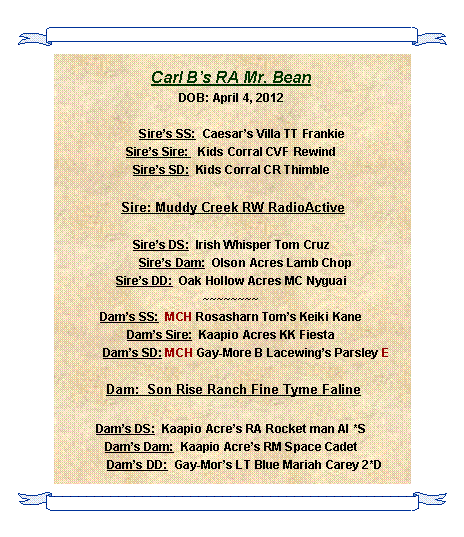 Text Box: Carl Bs RA Mr. BeanDOB: April 4, 2012       Sires SS:  Caesars Villa TT FrankieSires Sire:   Kids Corral CVF RewindSires SD:  Kids Corral CR Thimble Sire: Muddy Creek RW RadioActiveSires DS:  Irish Whisper Tom Cruz         Sires Dam:  Olson Acres Lamb ChopSires DD:  Oak Hollow Acres MC Nyguai~~~~~~~~Dams SS:  MCH Rosasharn Toms Keiki KaneDams Sire:  Kaapio Acres KK Fiesta         Dams SD: MCH Gay-More B Lacewings Parsley E Dam:  Son Rise Ranch Fine Tyme FalineDams DS:  Kaapio Acres RA Rocket man AI *SDams Dam:  Kaapio Acres RM Space Cadet        Dams DD:  Gay-Mors LT Blue Mariah Carey 2*D