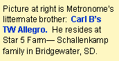 Text Box: Picture at right is Metronomes littermate brother:  Carl Bs TW Allegro.  He resides at Star 5 Farm Schallenkamp family in Bridgewater, SD. 