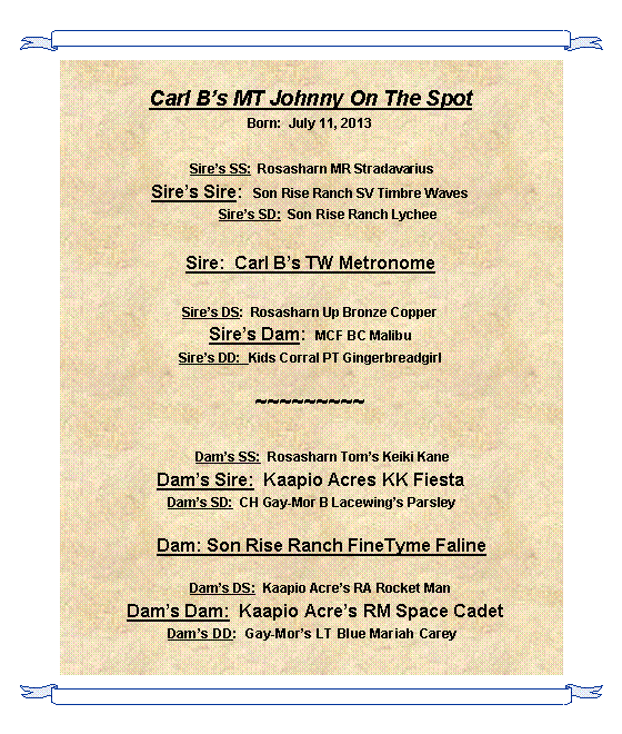 Text Box: Carl Bs MT Johnny On The SpotBorn:  July 11, 2013  Sires SS:  Rosasharn MR StradavariusSires Sire:  Son Rise Ranch SV Timbre Waves          Sires SD:  Son Rise Ranch Lychee Sire:  Carl Bs TW Metronome Sires DS:  Rosasharn Up Bronze CopperSires Dam:  MCF BC MalibuSires DD:  Kids Corral PT Gingerbreadgirl ~~~~~~~~~        Dams SS:  Rosasharn Toms Keiki KaneDams Sire:  Kaapio Acres KK Fiesta Dams SD:  CH Gay-Mor B Lacewings Parsley    Dam: Son Rise Ranch FineTyme Faline       Dams DS:  Kaapio Acres RA Rocket Man  Dams Dam:  Kaapio Acres RM Space Cadet Dams DD:  Gay-Mors LT Blue Mariah Carey