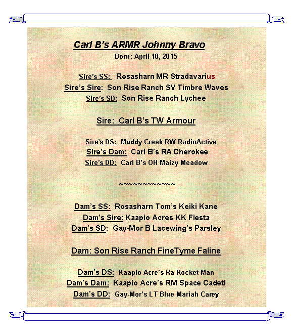 Text Box: Carl Bs ARMR Johnny Bravo	Born: April 18, 2015 Sires SS:   Rosasharn MR StradavariusSires Sire:  Son Rise Ranch SV Timbre WavesSires SD:  Son Rise Ranch LycheeSire:  Carl Bs TW Armour                               Sires DS:  Muddy Creek RW RadioActive Sires Dam:  Carl Bs RA CherokeeSires DD:  Carl Bs OH Maizy Meadow ~~~~~~~~~~~~Dams SS:  Rosasharn Toms Keiki KaneDams Sire: Kaapio Acres KK FiestaDams SD:  Gay-Mor B Lacewings ParsleyDam: Son Rise Ranch FineTyme FalineDams DS:  Kaapio Acres Ra Rocket ManDams Dam:  Kaapio Acres RM Space CadetlDams DD:  Gay-Mors LT Blue Mariah Carey