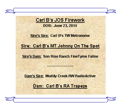 Text Box: Carl Bs JOS FireworkDOB:  June 23, 2014Sires Sire:  Carl Bs TW MetronomeSire:  Carl Bs MT Johnny On The SpotSires Dam:  Son Rise Ranch FineTyme Faline~~~~~~~~~~~~~Dams Sire:  Muddy Creek RW RadioActiveDam:  Carl Bs RA Trapeze