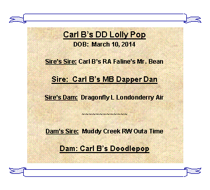 Text Box: Carl Bs DD Lolly PopDOB:  March 10, 2014Sires Sire: Carl Bs RA Falines Mr. BeanSire:  Carl Bs MB Dapper DanSires Dam:  Dragonfly L Londonderry Air~~~~~~~~~~~~~Dams Sire:  Muddy Creek RW Outa TimeDam: Carl Bs Doodlepop
