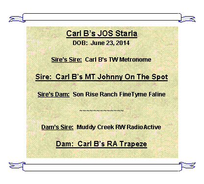 Text Box: Carl Bs JOS StarlaDOB:  June 23, 2014Sires Sire:  Carl Bs TW MetronomeSire:  Carl Bs MT Johnny On The SpotSires Dam:  Son Rise Ranch FineTyme Faline~~~~~~~~~~~~~Dams Sire:  Muddy Creek RW RadioActiveDam:  Carl Bs RA Trapeze