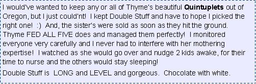 Text Box: I wouldve wanted to keep any or all of Thymes beautiful Quintuplets out of Oregon, but I just couldnt!  I kept Double Stuff and have to hope I picked the right one!  :)  And, the sisters were sold as soon as they hit the ground.  Thyme FED ALL FIVE does and managed them perfectly!  I monitored everyone very carefully and I never had to interfere with her mothering expertise!  I watched as she would go over and nudge 2 kids awake, for their time to nurse and the others would stay sleeping!  Double Stuff is  LONG and LEVEL and gorgeous.  Chocolate with white.  