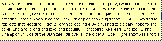 Text Box: A few years back, I bred Malibu to Oregon and come kidding day, I watched in dismay as kid after kid kept coming out of her!  QUINTUPLETS!!!  2 were quite small and I lost those two.  Ever since, Ive been afraid to breed her to Oregon again.  BUT, the kids from that crossing were very very nice and I saw udder pics of a daughter so I REALLY wanted to replicate that breeding.  I got 2 very nice doelings!  Again, I had to pick and hope for the best!  England is long and level and beautiful chocolate buckskin!  She took Grand Champion Jr. Doe at the SD State Fair over all the older Jr. Does.  (the show was short 1 