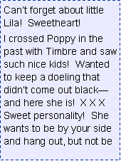 Text Box: Cant forget about little Lila!  Sweetheart! I crossed Poppy in the past with Timbre and saw such nice kids!  Wanted to keep a doeling that didnt come out blackand here she is!  X X X  Sweet personality!  She wants to be by your side and hang out, but not be 