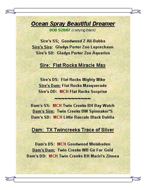 Text Box: Ocean Spray Beautiful DreamerDOB 5/20/07 (carrying black) Sires SS:  Goodwood Z Ali-BabbaSires Sire:  Gladys Porter Zoo LeprechaunSires SD:  Gladys Porter Zoo Aquarius Sire:  Flat Rocks Miracle Max  Sires DS:  Flat Rocks Mighty MikeSires Dam: Flat Rocks Masquerade   Sires DD:  MCH Flat Rocks Surprise ~~~~~~~~~~~Dams SS:  MCH Twin Creeks BH Bay WatchDams Sire:  Twin Creeks BW Spinnaker*SDams SD:  MCH Little Rascals Black Dahlia Dam:  TX Twincreeks Trace of SilverDams DS:  MCH Goodwood WeisbadenDams Dam:  Twin Creeks WB Go For GoldDams DD:  MCH Twin Creeks BH Mariris Zinnea