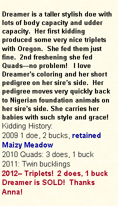 Text Box: Dreamer is a taller stylish doe with lots of body capacity and udder capacity.  Her first kidding produced some very nice triplets with Oregon.  She fed them just fine.  2nd freshening she fed Quadsno problem!   I love Dreamers coloring and her short pedigree on her sires side.  Her pedigree moves very quickly back to Nigerian foundation animals on her sires side. She carries her babies with such style and grace!   Kidding History: 2009 1 doe, 2 bucks, retained Maizy Meadow2010 Quads: 3 does, 1 buck2011: Twin bucklings2012 Triplets!  2 does, 1 buckDreamer is SOLD!  Thanks Anna! 
