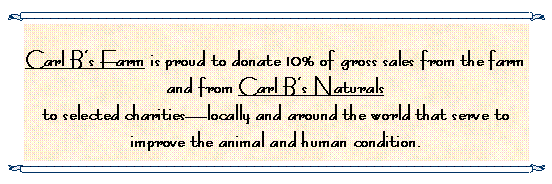 Text Box: Carl Bs Farm is proud to donate 10% of gross sales from the farm and from Carl Bs Naturals to selected charitieslocally and around the world that serve to improve the animal and human condition.  