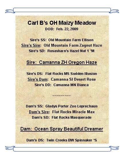 Text Box: Carl Bs OH Maizy MeadowDOB:  Feb. 22, 2009Sires SS:  Old Mountain Farm EllisonSires Sire:  Old Mountain Farm Zagnut HazeSires SD:  Rosasharns Hazel Nut 1 *MSire:  Camanna ZH Oregon HazeSires DS:  Flat Rocks MS Sudden IllusionSires Dam:  Camanna SI Desert RoseSires DD:  Camanna MN Bianca~~~~~~~~~Dams SS:  Gladys Porter Zoo LeprechaunDams Sire:  Flat Rocks Miracle MaxDams SD:  Flat Rocks MasqueradeDam:  Ocean Spray Beautiful DreamerDams DS:  Twin Creeks BW Spinnaker *S