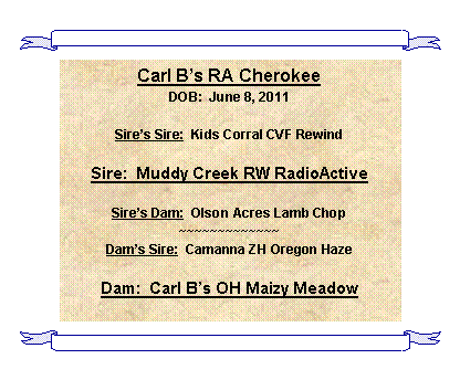 Text Box: Carl Bs RA CherokeeDOB:  June 8, 2011Sires Sire:  Kids Corral CVF RewindSire:  Muddy Creek RW RadioActiveSires Dam:  Olson Acres Lamb Chop~~~~~~~~~~~~~Dams Sire:  Camanna ZH Oregon HazeDam:  Carl Bs OH Maizy Meadow