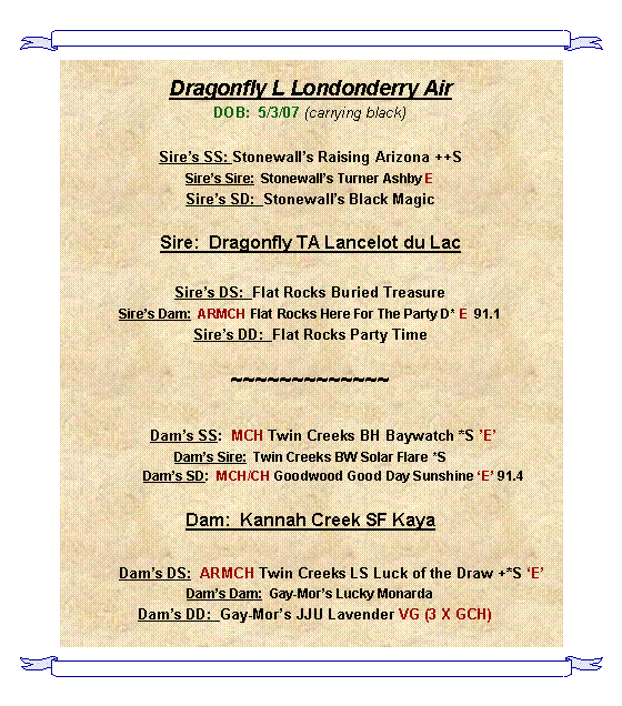 Text Box: Dragonfly L Londonderry AirDOB:  5/3/07 (carrying black)Sires SS: Stonewalls Raising Arizona ++SSires Sire:  Stonewalls Turner Ashby E   Sires SD:  Stonewalls Black Magic                   Sire:  Dragonfly TA Lancelot du Lac  Sires DS:  Flat Rocks Buried TreasureSires Dam:  ARMCH Flat Rocks Here For The Party D* E  91.1 Sires DD:  Flat Rocks Party Time  ~~~~~~~~~~~~~         Dams SS:  MCH Twin Creeks BH Baywatch *S E                                                                                                                                Dams Sire:  Twin Creeks BW Solar Flare *S             Dams SD:  MCH/CH Goodwood Good Day Sunshine E 91.4 Dam:  Kannah Creek SF Kaya          Dams DS:  ARMCH Twin Creeks LS Luck of the Draw +*S EDams Dam:  Gay-Mors Lucky Monarda  Dams DD:  Gay-Mors JJU Lavender VG (3 X GCH)