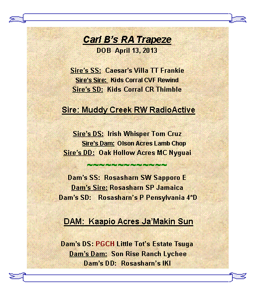 Text Box: Carl Bs RA TrapezeDOB  April 13, 2013  Sires SS:  Caesars Villa TT FrankieSires Sire:   Kids Corral CVF RewindSires SD:  Kids Corral CR Thimble Sire: Muddy Creek RW RadioActiveSires DS:  Irish Whisper Tom Cruz         Sires Dam:  Olson Acres Lamb ChopSires DD:  Oak Hollow Acres MC Nyguai~~~~~~~~~~~~~Dams SS:  Rosasharn SW Sapporo EDams Sire: Rosasharn SP Jamaica Dams SD:   Rosasharns P Pensylvania 4*D DAM:  Kaapio Acres JaMakin SunDams DS: PGCH Little Tots Estate Tsuga Dams Dam:  Son Rise Ranch LycheeDams DD:  Rosasharns IKI