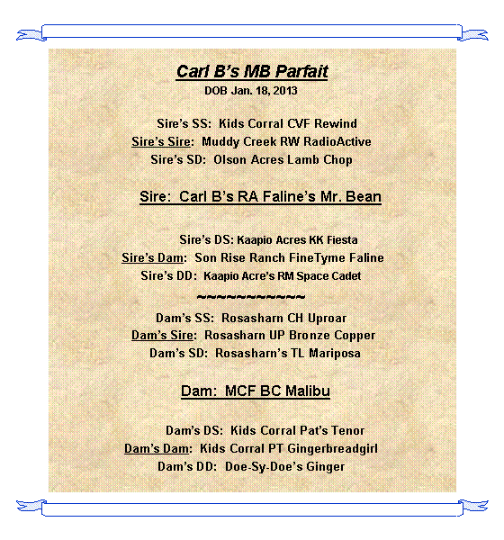 Text Box: Carl Bs MB ParfaitDOB Jan. 18, 2013   Sires SS:  Kids Corral CVF RewindSires Sire:  Muddy Creek RW RadioActiveSires SD:  Olson Acres Lamb Chop    Sire:  Carl Bs RA Falines Mr. Bean          Sires DS: Kaapio Acres KK Fiesta  Sires Dam:  Son Rise Ranch FineTyme FalineSires DD:  Kaapio Acres RM Space Cadet~~~~~~~~~~~Dams SS:  Rosasharn CH Uproar Dams Sire:  Rosasharn UP Bronze Copper  Dams SD:  Rosasharns TL Mariposa  Dam:  MCF BC Malibu        Dams DS:  Kids Corral Pats TenorDams Dam:  Kids Corral PT GingerbreadgirlDams DD:  Doe-Sy-Does Ginger