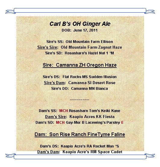 Text Box: Carl Bs OH Ginger AleDOB:  June 17, 2011Sires SS:  Old Mountain Farm EllisonSires Sire:  Old Mountain Farm Zagnut HazeSires SD:  Rosasharns Hazel Nut 1 *MSire:  Camanna ZH Oregon HazeSires DS:  Flat Rocks MS Sudden IllusionSires Dam:  Camanna SI Desert RoseSires DD:  Camanna MN Bianca~~~~~~~~~Dams SS:  MCH Rosasharn Toms Keiki KaneDams Sire:  Kaapio Acres KK FiestaDams SD:  MCH Gay-Mor B Lacewings Parsley EDam:  Son Rise Ranch FineTyme FalineDams DS:  Kaapio Acres RA Rocket Man *SDams Dam:  Kaapio Acres RM Space Cadet