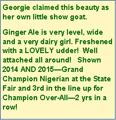 Text Box: Georgie claimed this beauty as her own little show goat.  Ginger Ale is very level, wide and a very dairy girl. Freshened with a LOVELY udder!  Well attached all around!   Shown 2014 AND 2015Grand Champion Nigerian at the State Fair and 3rd in the line up for Champion Over-All2 yrs in a row! 