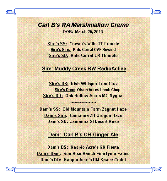 Text Box: Carl Bs RA Marshmallow CremeDOB:  March 25, 2013Sires SS:  Caesars Villa TT FrankieSires Sire:   Kids Corral CVF RewindSires SD:  Kids Corral CR Thimble Sire: Muddy Creek RW RadioActiveSires DS:  Irish Whisper Tom Cruz         Sires Dam:  Olson Acres Lamb ChopSires DD:  Oak Hollow Acres MC Nyguai~~~~~~~~~Dams SS:  Old Mountain Farm Zagnut HazeDams Sire:  Camanna ZH Oregon HazeDams SD: Camanna SI Desert RoseDam:  Carl Bs OH Ginger AleDams DS:  Kaapio Acres KK FiestaDams Dam:  Son Rise Ranch FineTyme FalineDams DD:  Kaapio Acres RM Space Cadet