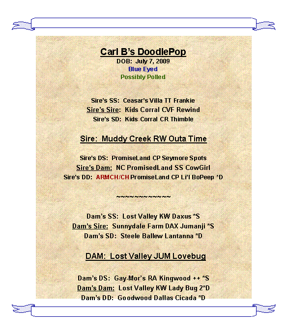 Text Box: Carl B’s DoodlePop
DOB:  July 7, 2009
Blue Eyed 
Possibly Polled


Sire’s SS:  Ceasar’s Villa TT Frankie
Sire’s Sire:  Kids Corral CVF Rewind
Sire’s SD:  Kids Corral CR Thimble

Sire:  Muddy Creek RW Outa Time

Sire’s DS:  PromiseLand CP Seymore Spots  
Sire’s Dam:  NC PromisedLand SS CowGirl
Sire’s DD:  ARMCH/CH PromiseLand CP Li’l BoPeep *D

~~~~~~~~~~~~

Dam’s SS:  Lost Valley KW Daxus *S
Dam’s Sire:  Sunnydale Farm DAX Jumanji *S
Dam’s SD:  Steele Ballew Lantanna *D

  DAM:  Lost Valley JUM Lovebug 

Dam’s DS:  Gay-Mor’s RA Kingwood ++ *S
Dam’s Dam:  Lost Valley KW Lady Bug 2*D
Dam’s DD:  Goodwood Dallas Cicada *D
