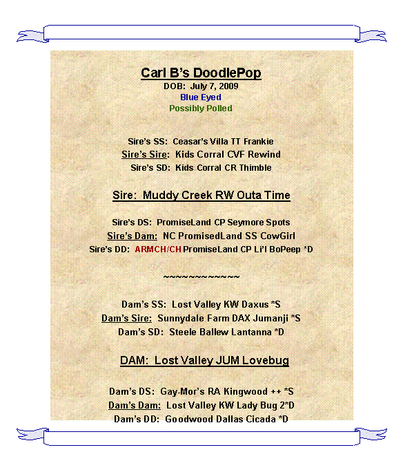 Text Box: Carl Bs DoodlePopDOB:  July 7, 2009Blue Eyed Possibly PolledSires SS:  Ceasars Villa TT FrankieSires Sire:  Kids Corral CVF RewindSires SD:  Kids Corral CR ThimbleSire:  Muddy Creek RW Outa TimeSires DS:  PromiseLand CP Seymore Spots  Sires Dam:  NC PromisedLand SS CowGirlSires DD:  ARMCH/CH PromiseLand CP Lil BoPeep *D~~~~~~~~~~~~Dams SS:  Lost Valley KW Daxus *SDams Sire:  Sunnydale Farm DAX Jumanji *SDams SD:  Steele Ballew Lantanna *D  DAM:  Lost Valley JUM Lovebug Dams DS:  Gay-Mors RA Kingwood ++ *SDams Dam:  Lost Valley KW Lady Bug 2*DDams DD:  Goodwood Dallas Cicada *D