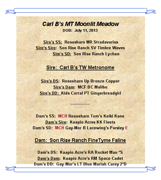 Text Box: Carl Bs MT Moonlit MeadowDOB:  July 11, 2013 Sires SS:  Rosasharn MR StradavariusSires Sire:  Son Rise Ranch SV Timbre Waves          Sires SD:  Son Rise Ranch Lychee Sire:  Carl Bs TW Metronome Sires DS:  Rosasharn Up Bronze CopperSires Dam:  MCF BC MalibuSires DD:  Kids Corral PT Gingerbreadgirl~~~~~~~~~Dams SS:  MCH Rosasharn Toms Keiki KaneDams Sire:  Kaapio Acres KK FiestaDams SD:  MCH Gay-Mor B Lacewings Parsley EDam:  Son Rise Ranch FineTyme FalineDams DS:  Kaapio Acres RA Rocket Man *SDams Dam:  Kaapio Acres RM Space CadetDams DD:  Gay-Mors LT Blue Mariah Carey 2*D