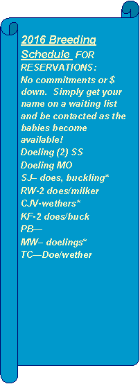Horizontal Scroll: 2016 Breeding Schedule  FOR RESERVATIONS: No commitments or $ down.  Simply get your name on a waiting list and be contacted as the babies become available!  Doeling (2) SSDoeling MOSJ does, buckling*RW-2 does/milkerCJV-wethers*KF-2 does/buckPBMW doelings*TCDoe/wether